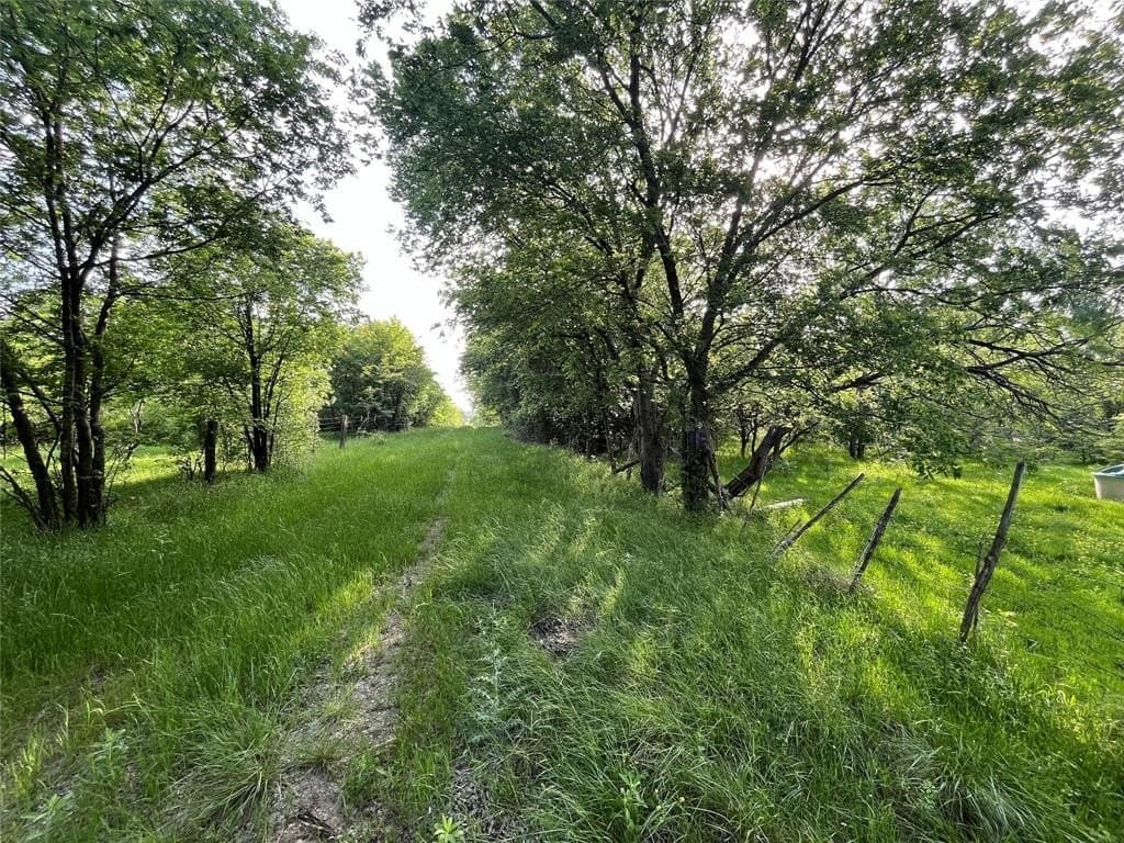 308.64 acres in Limestone County gallery image 3