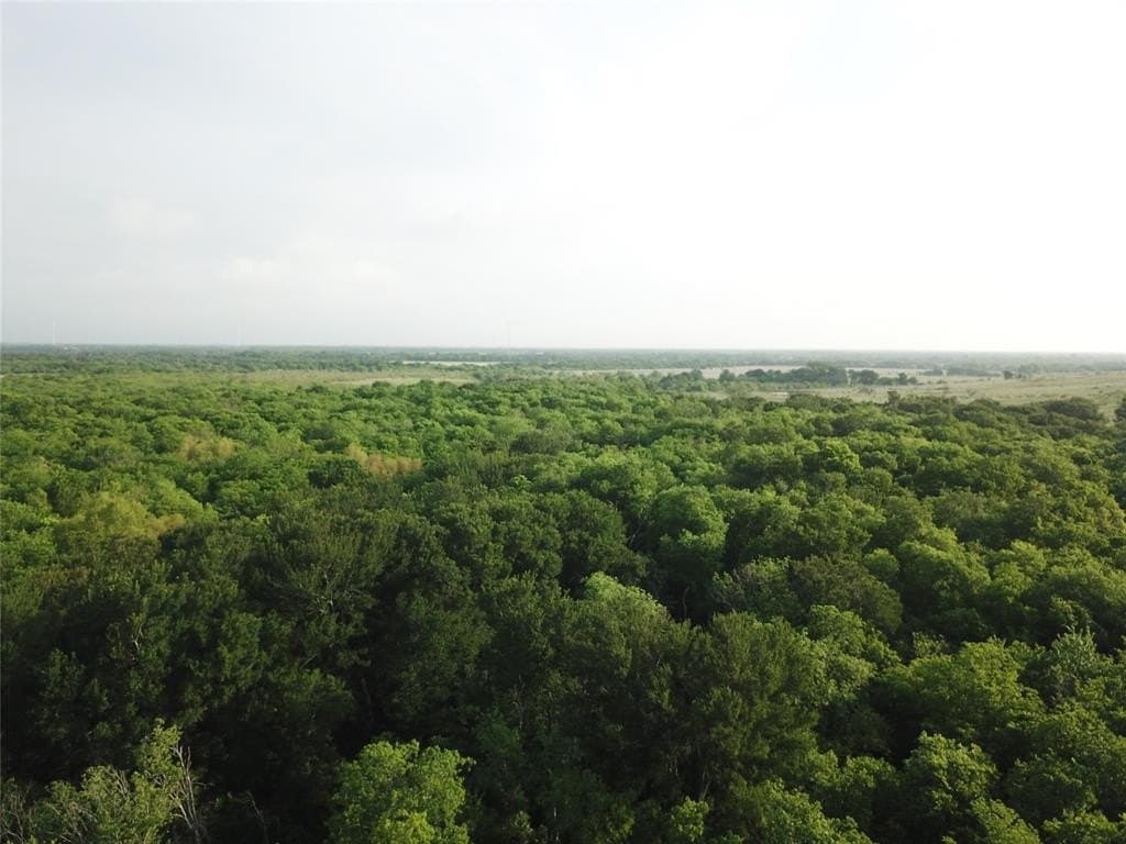 308.64 acres in Limestone County gallery image 4