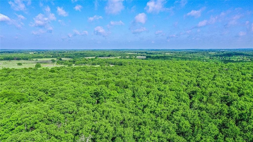 265.82 acres in Wise County gallery image 2