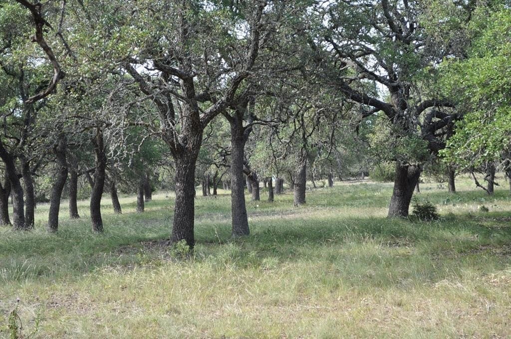 10.01 acres in Kimble County