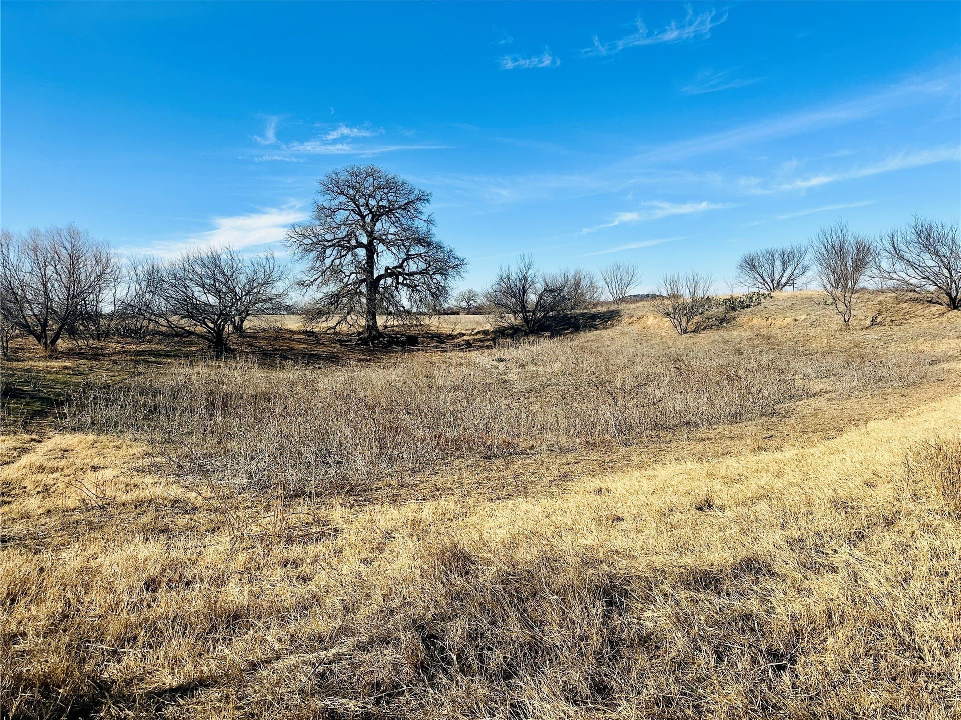35 acres in Callahan County - photo 31