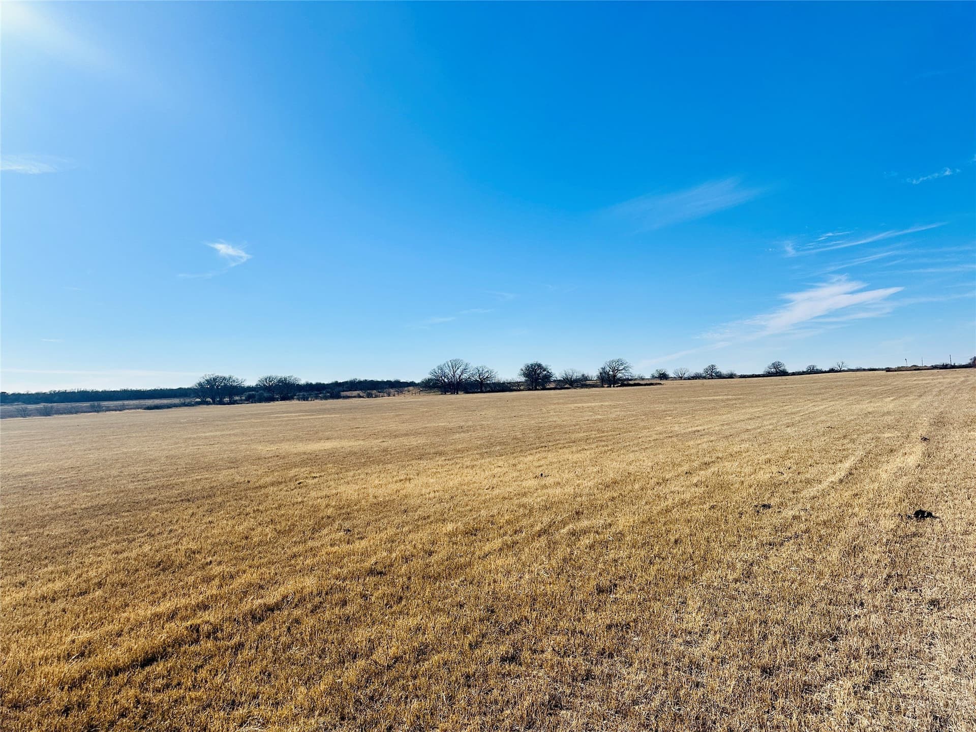 35 acres in Callahan County - photo 18