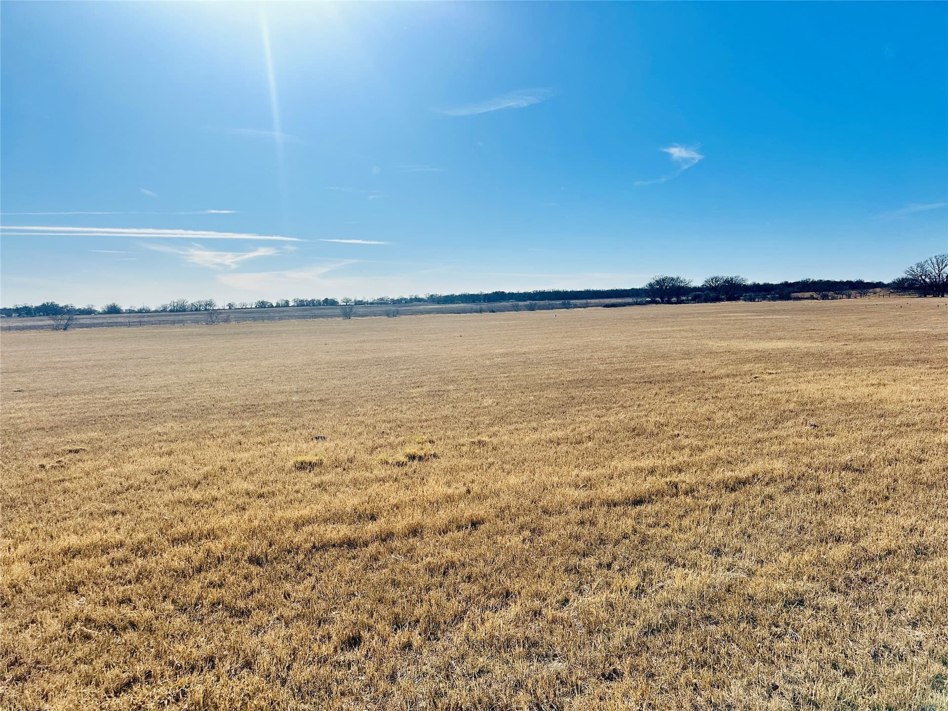 35 acres in Callahan County - photo 16