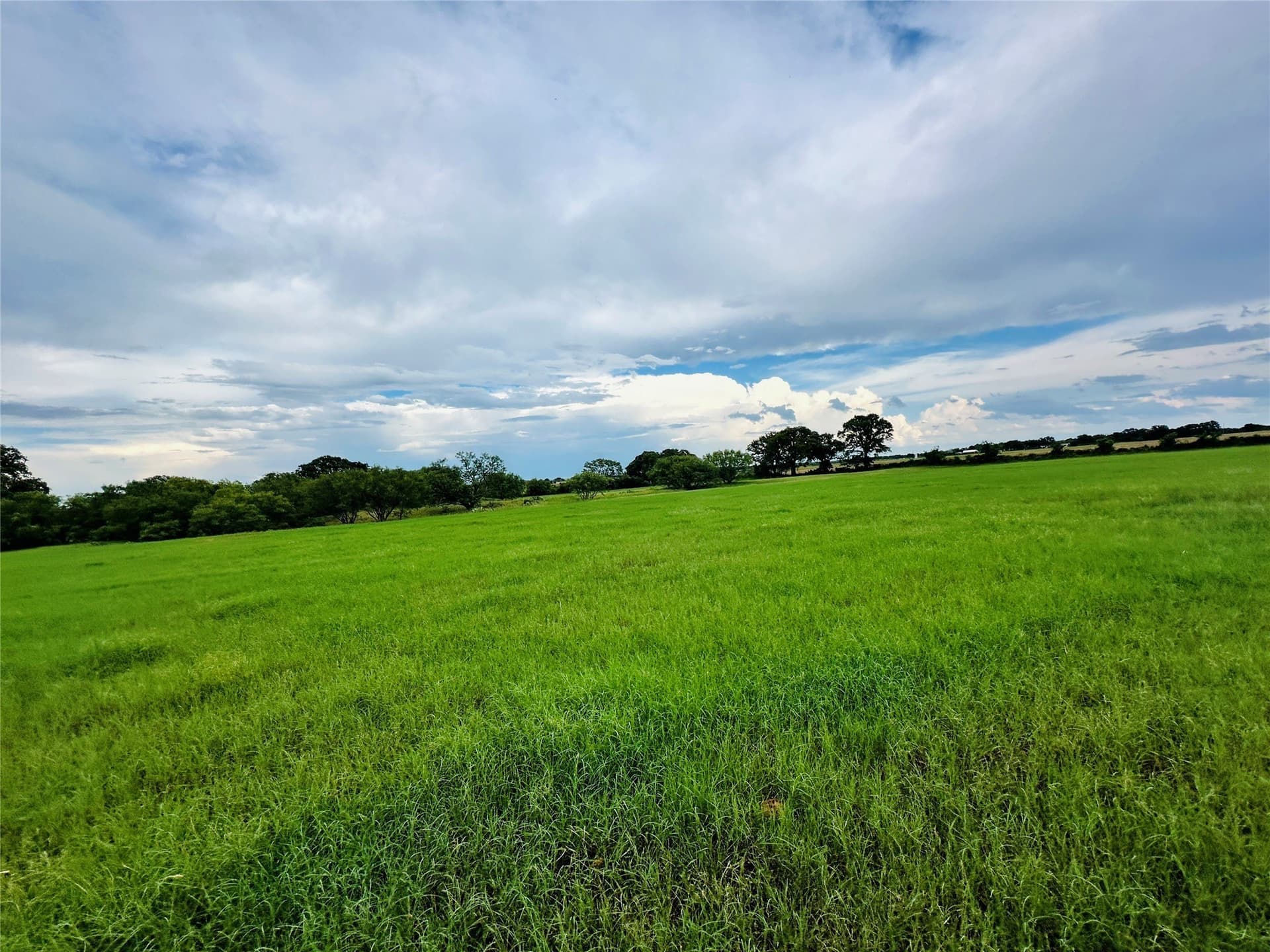 35 acres in Callahan County - photo 4