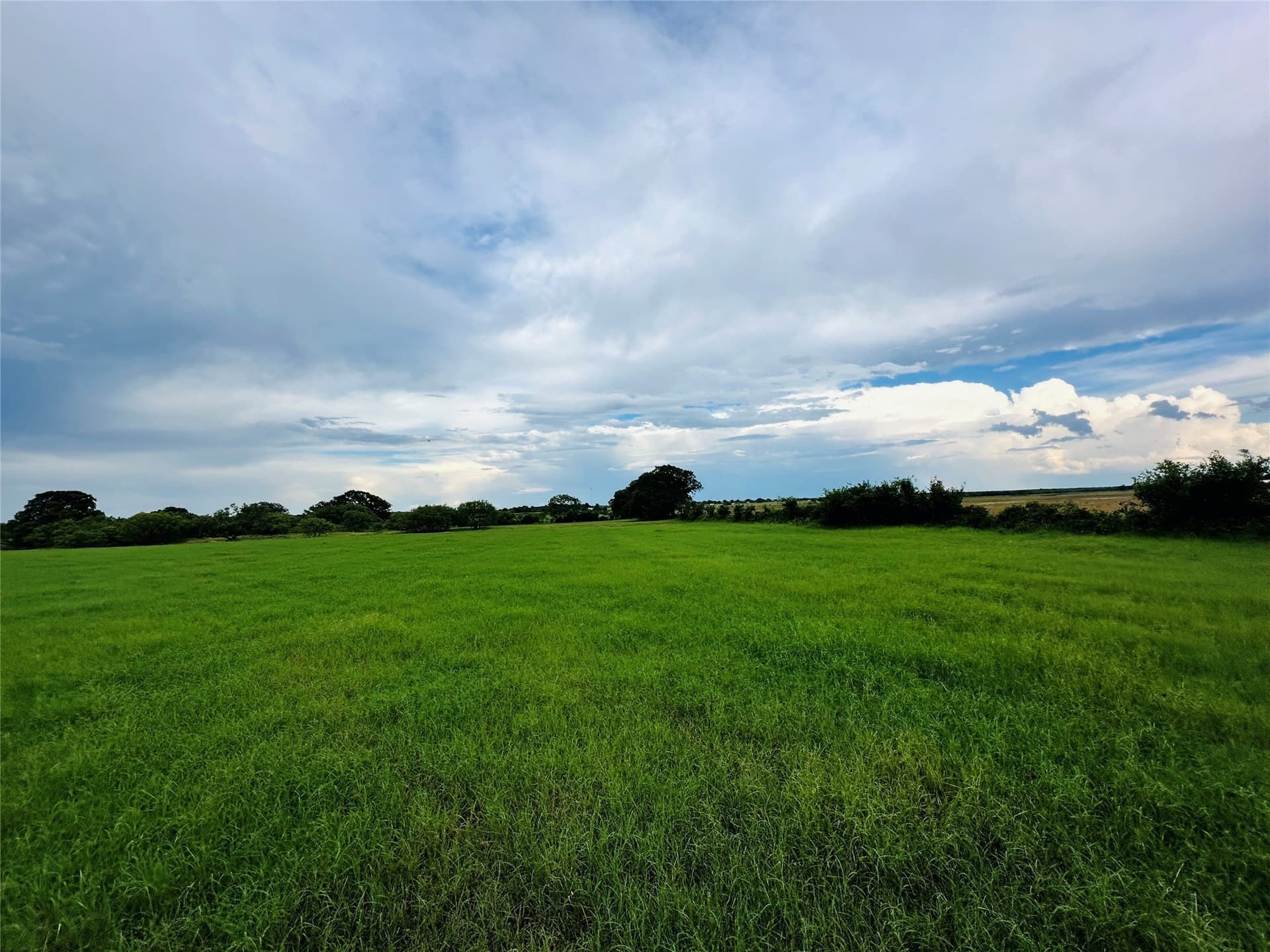 35 acres in Callahan County - photo 6