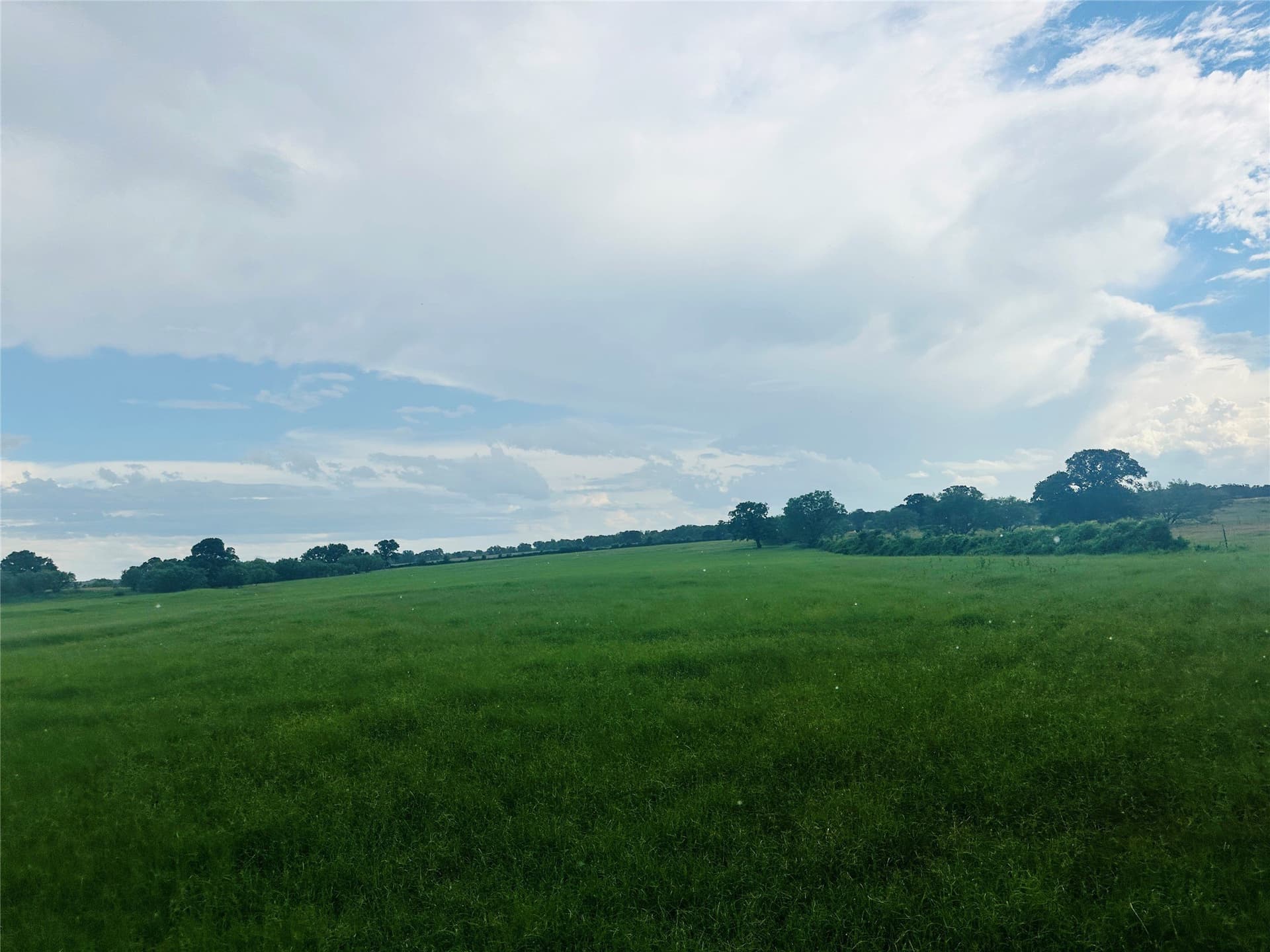 35 acres in Callahan County - photo 7