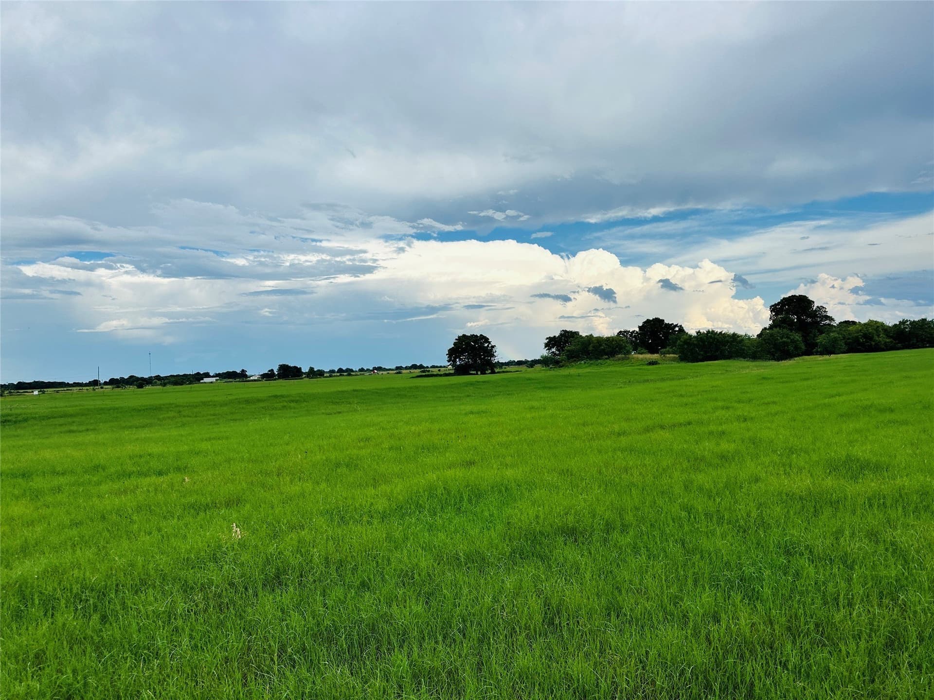 35 acres in Callahan County - photo 3