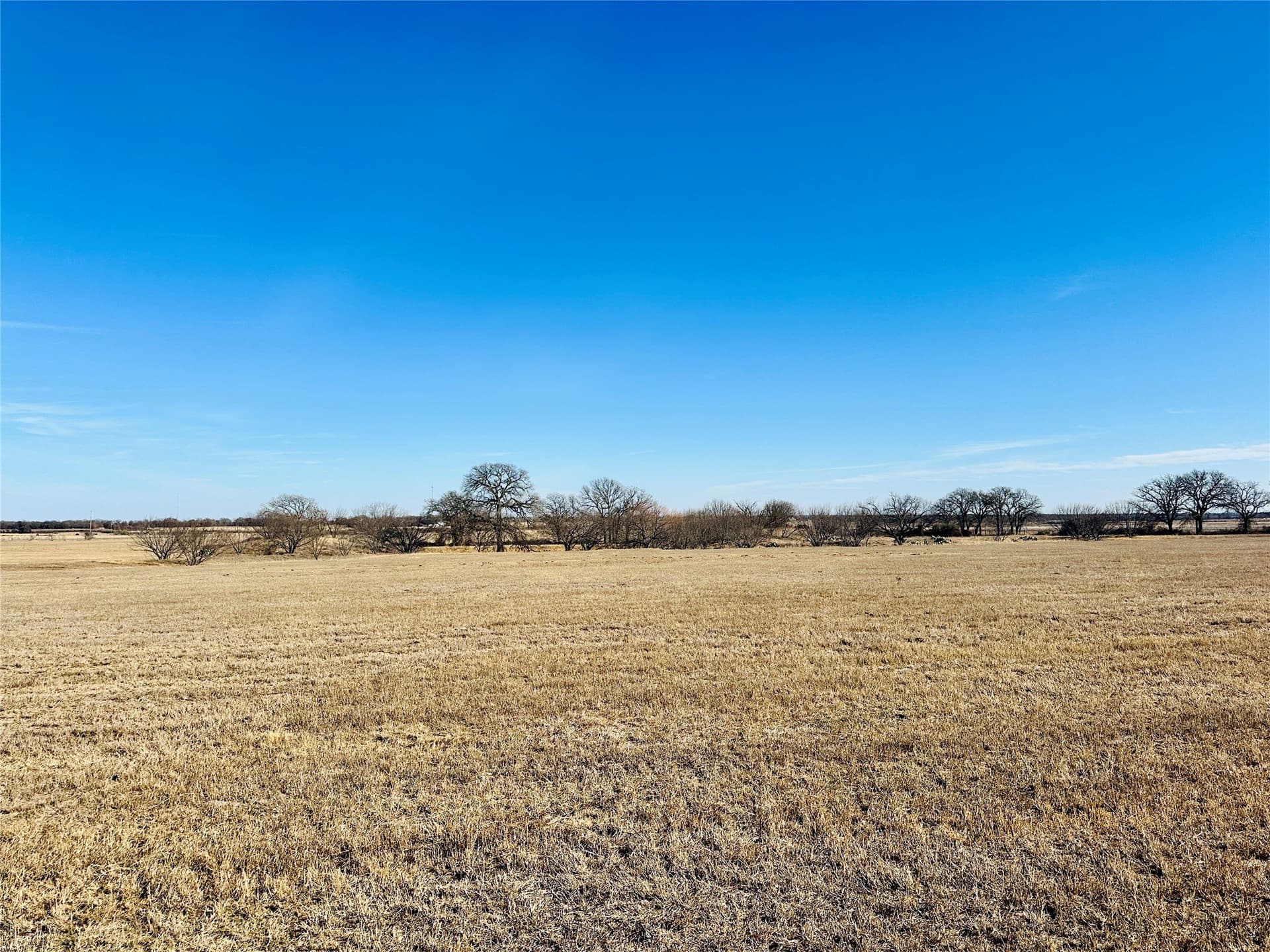 35 acres in Callahan County - photo 37