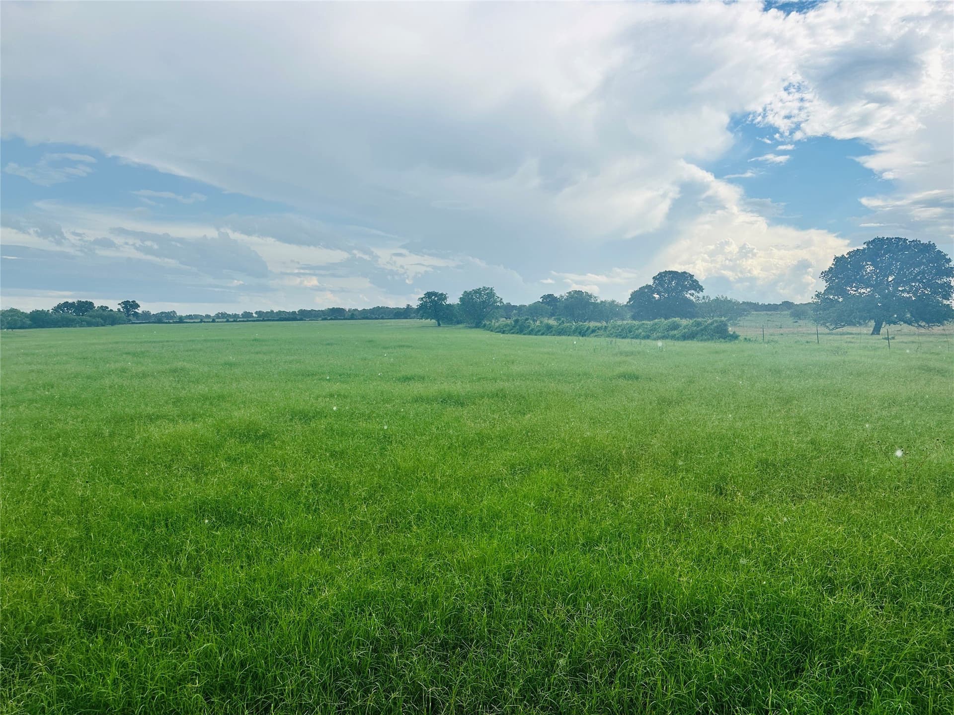 35 acres in Callahan County - photo 8