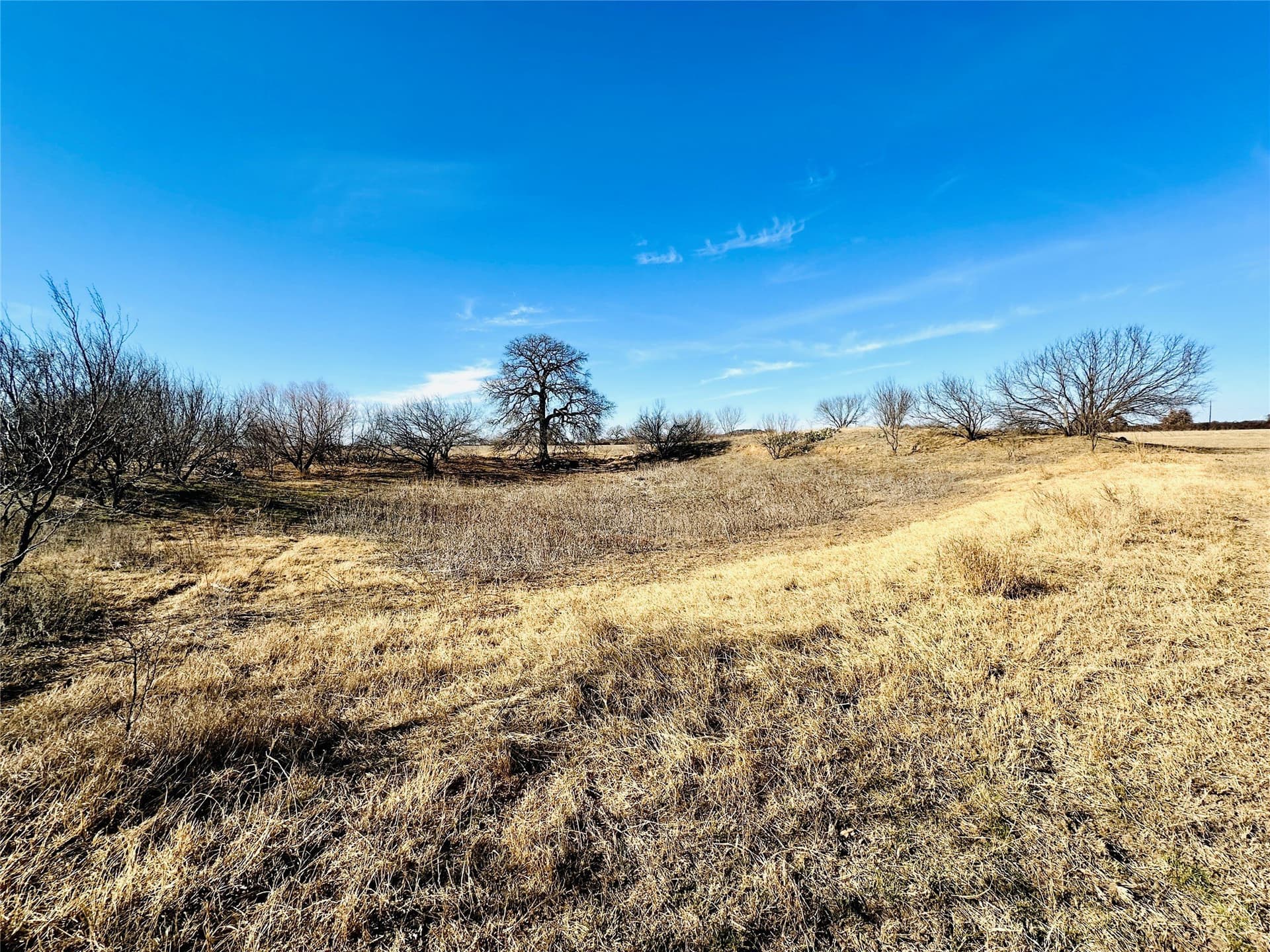 35 acres in Callahan County - photo 25