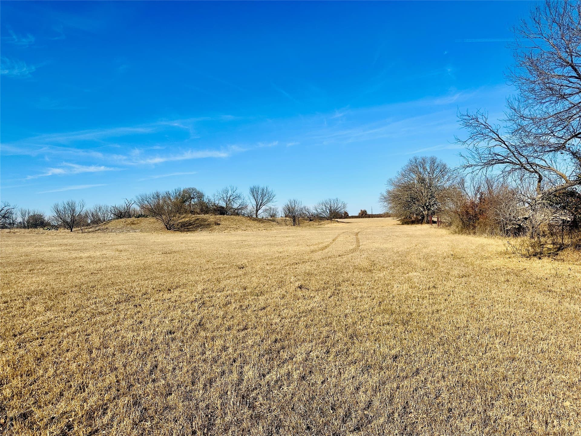 35 acres in Callahan County - photo 21
