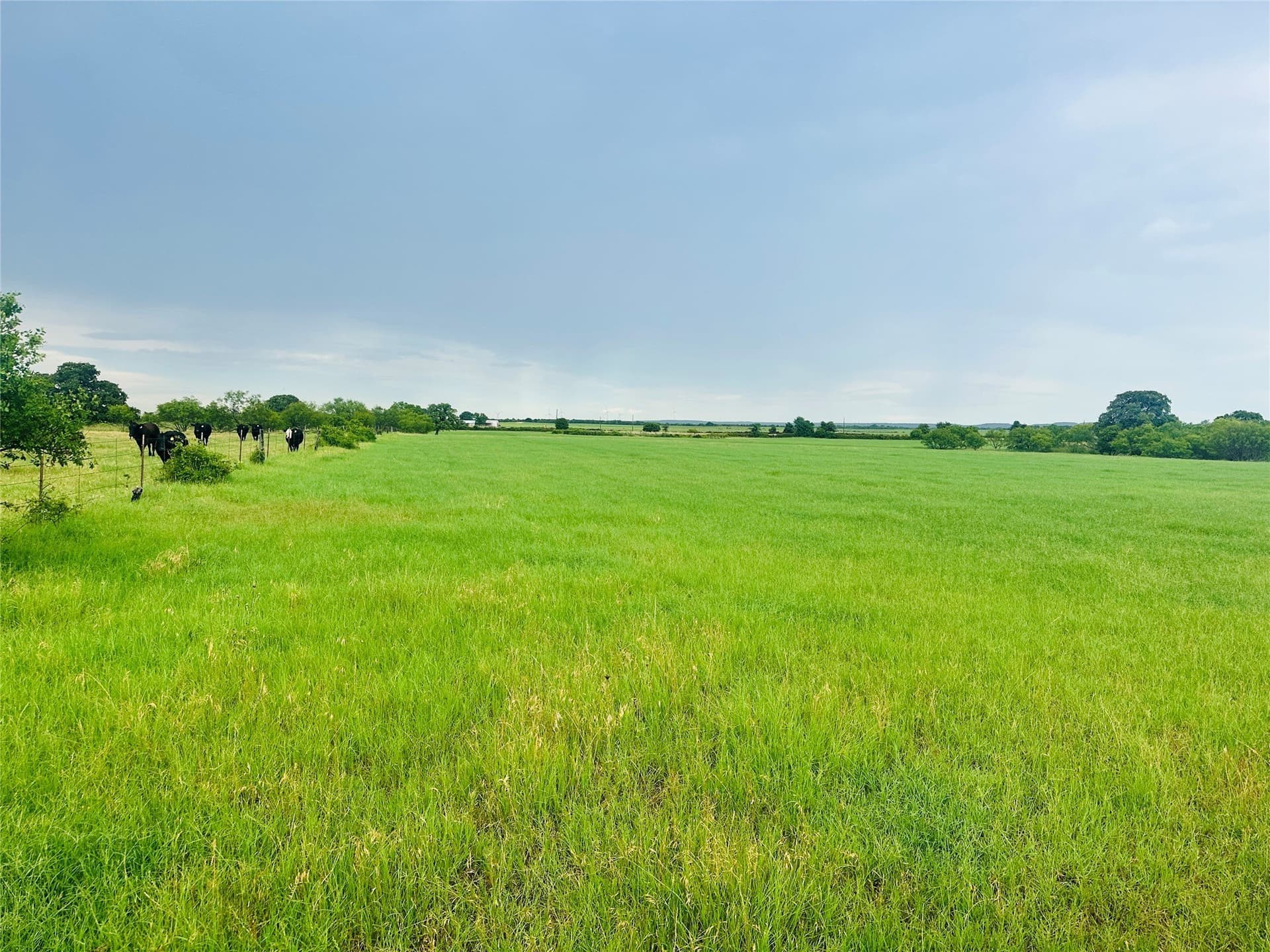 35 acres in Callahan County - photo 2