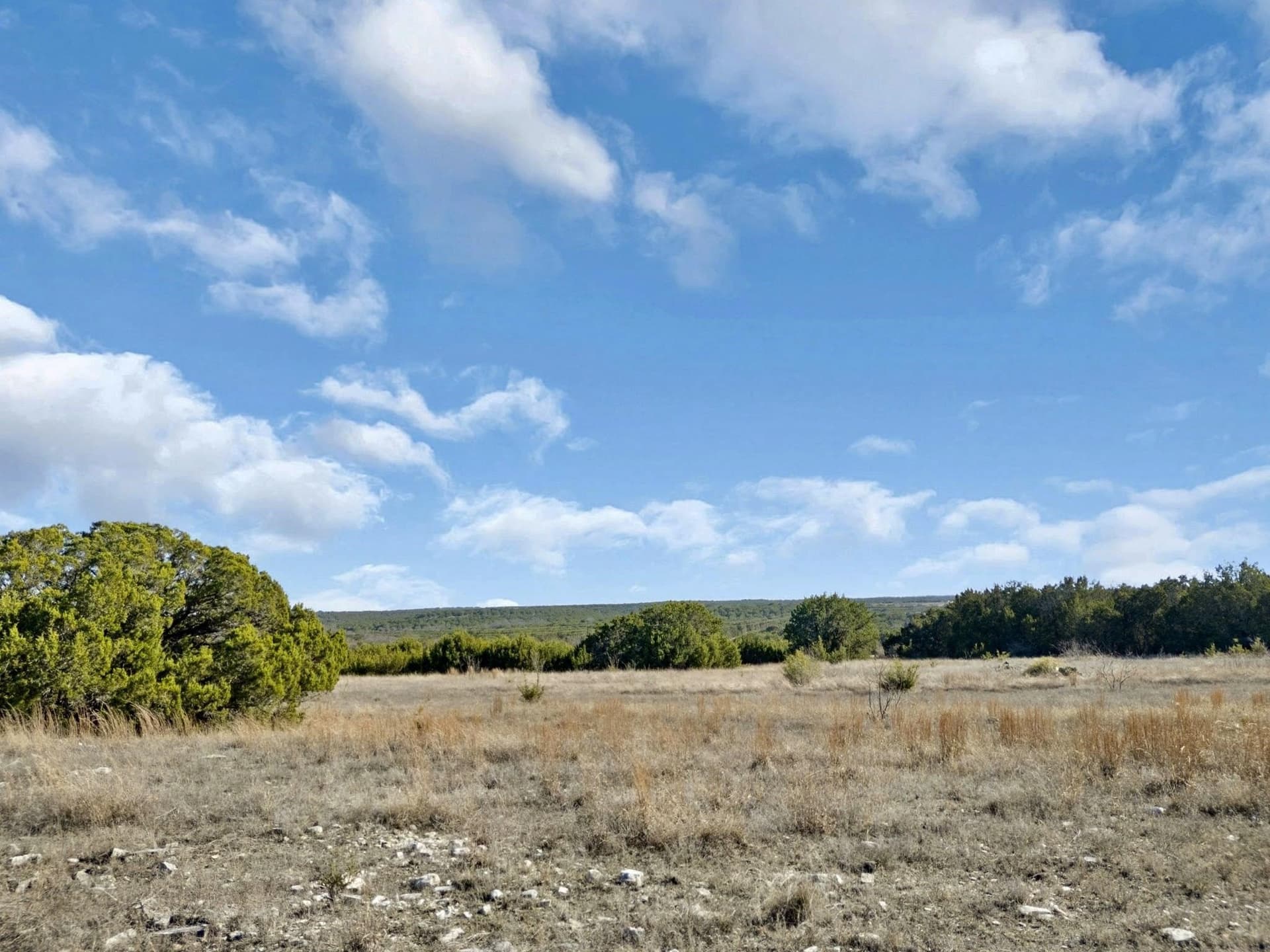 30 acres in Burnet County - photo 12