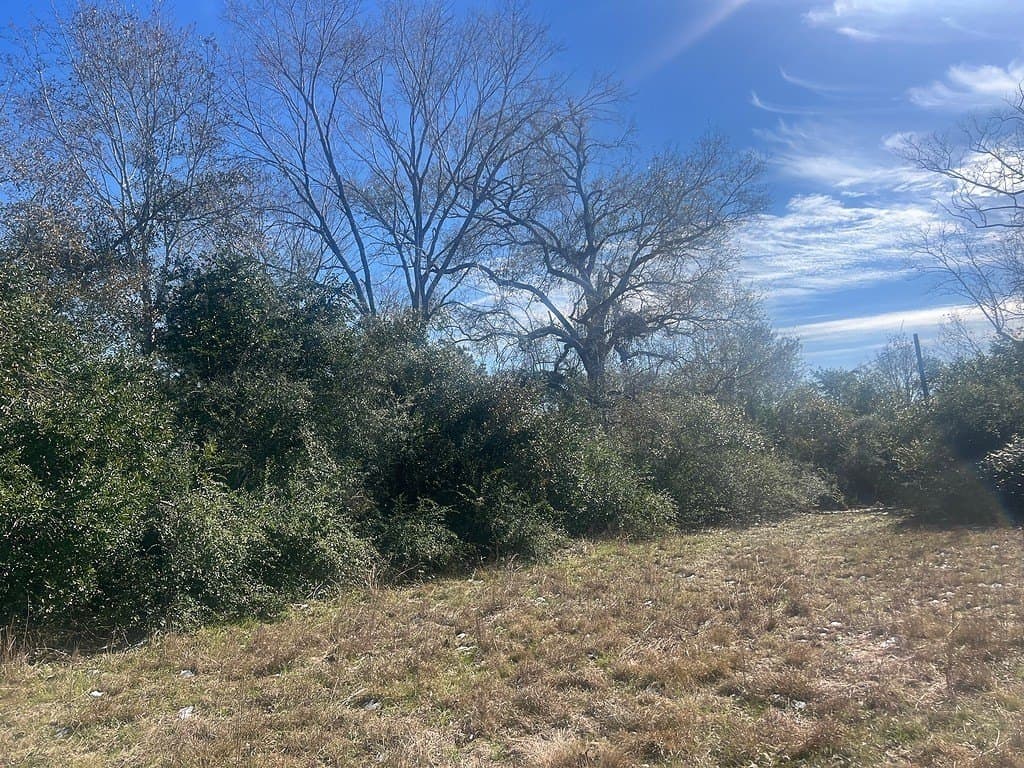 1.2 acres in Austin County - photo 10