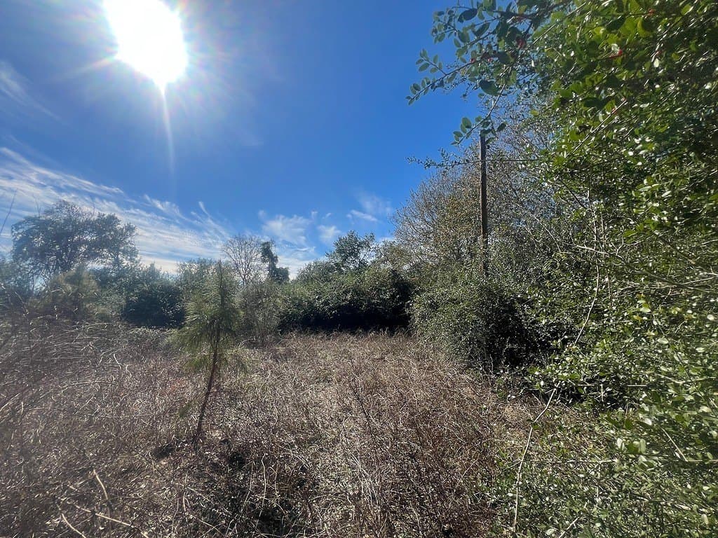 1.2 acres in Austin County - photo 4