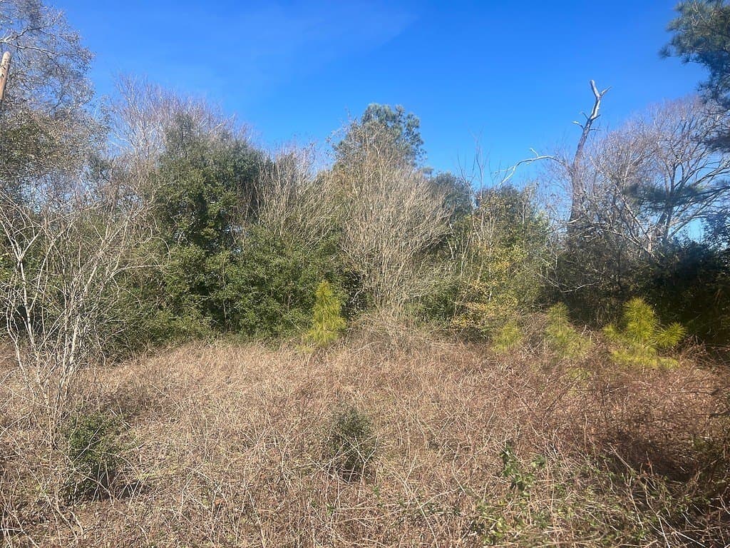 1.2 acres in Austin County - photo 12