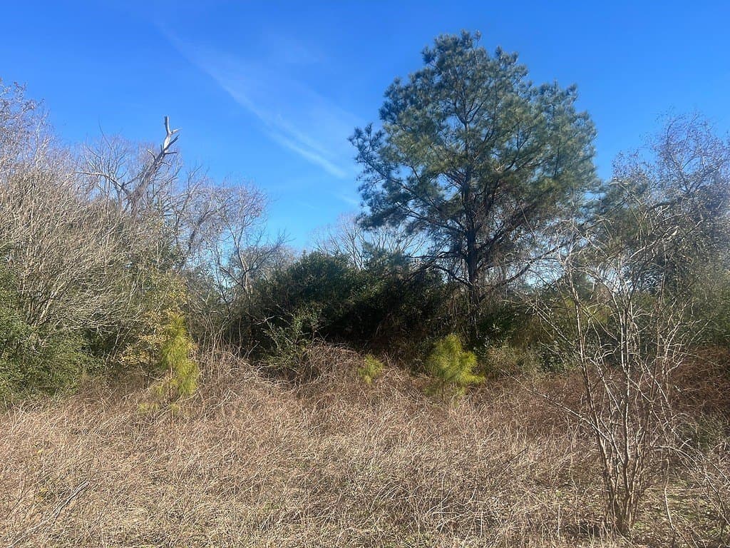 1.2 acres in Austin County - photo 11