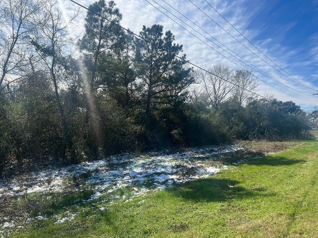 1.2 acres in Austin County - photo 3