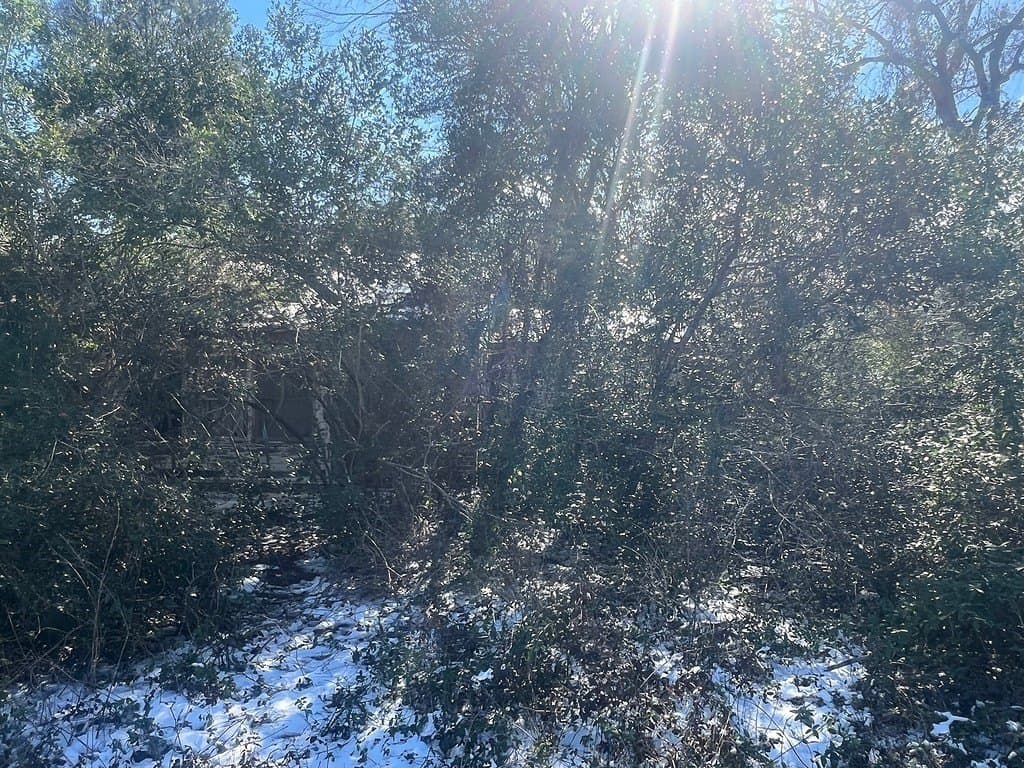 1.2 acres in Austin County - photo 15