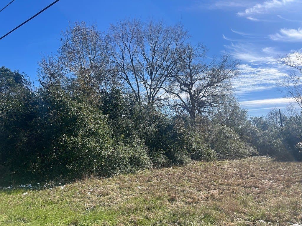 1.2 acres in Austin County - photo 9