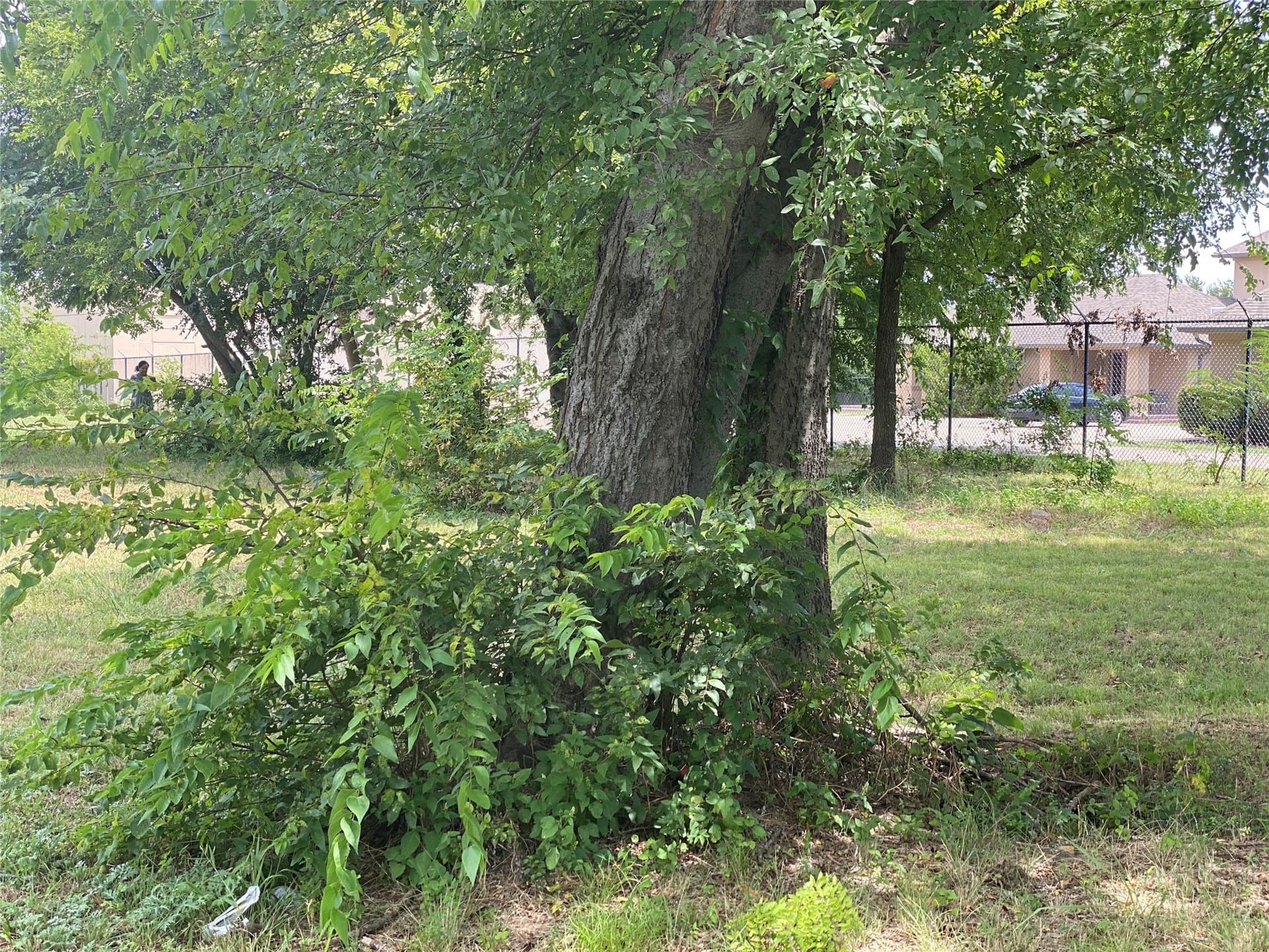 1.5 acres in Dallas County - photo 11