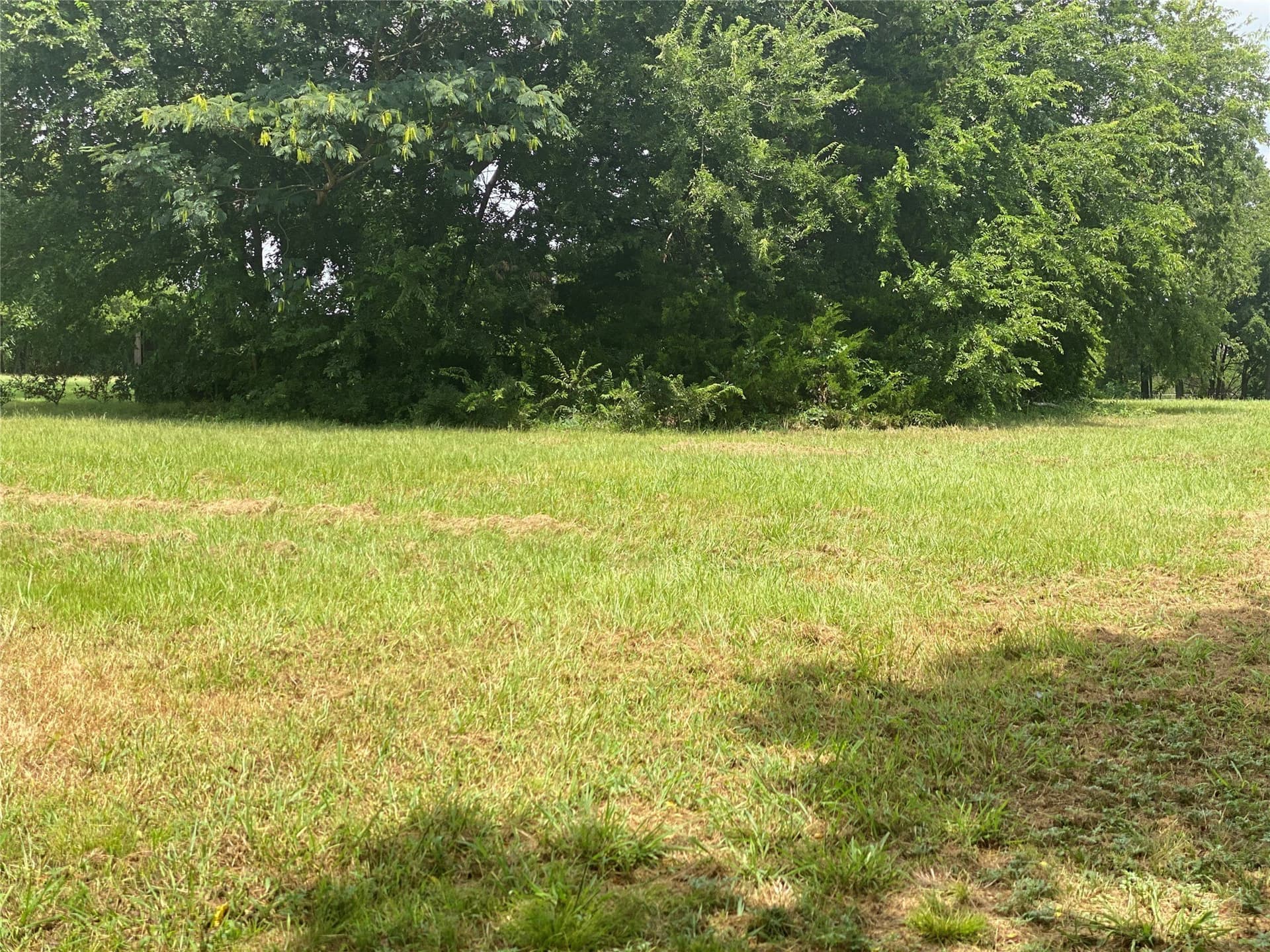 1.5 acres in Dallas County - photo 13