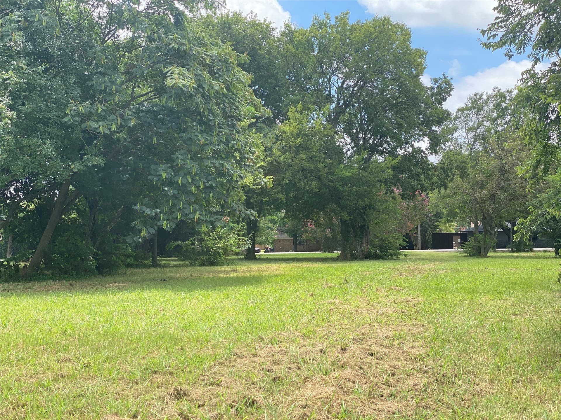 1.5 acres in Dallas County - photo 17
