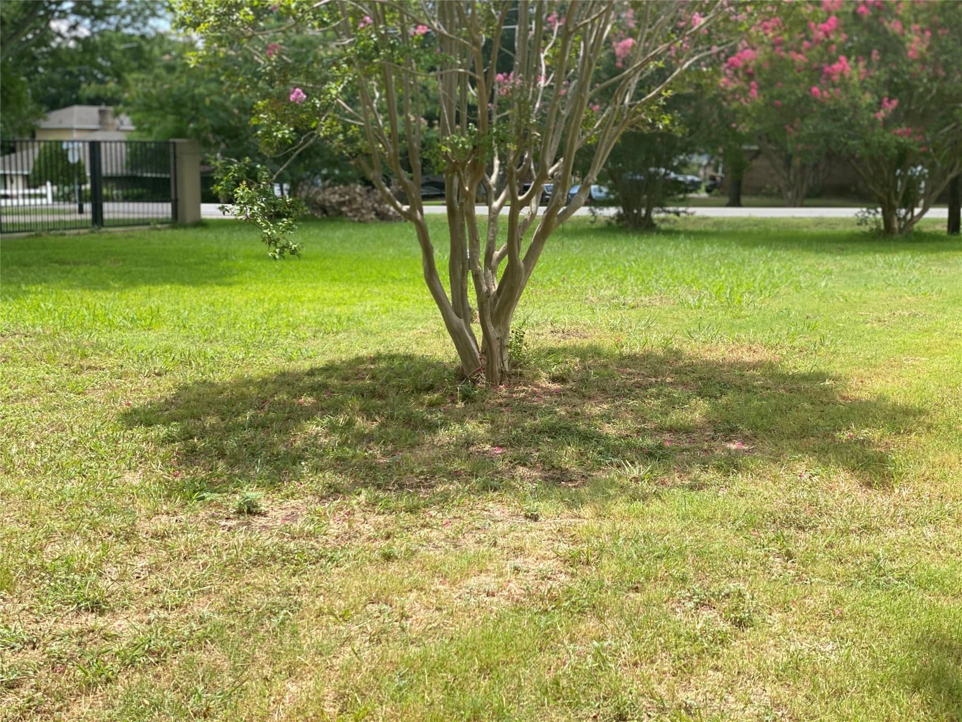 1.5 acres in Dallas County - photo 14