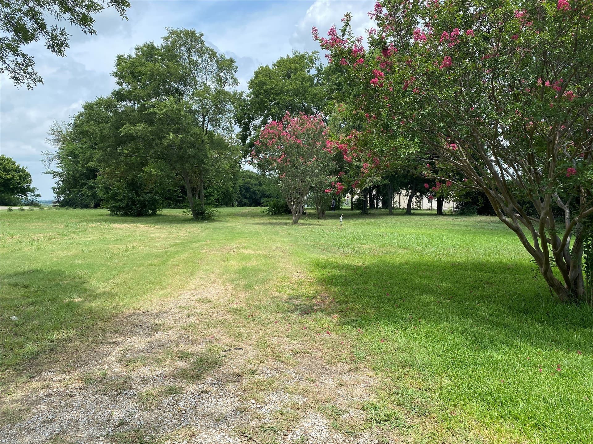 1.5 acres in Dallas County - photo 10