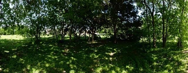 1.5 acres in Dallas County - photo 4