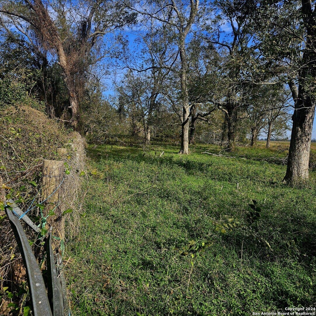 11 acres in Wharton County - photo 12