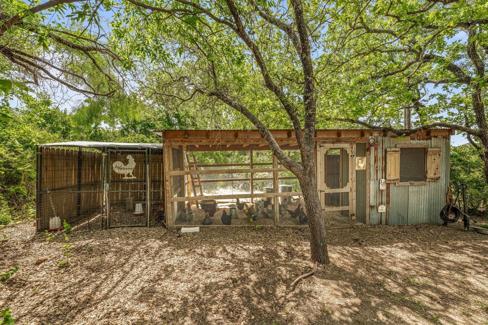 27.7 acres in Erath County - photo 33