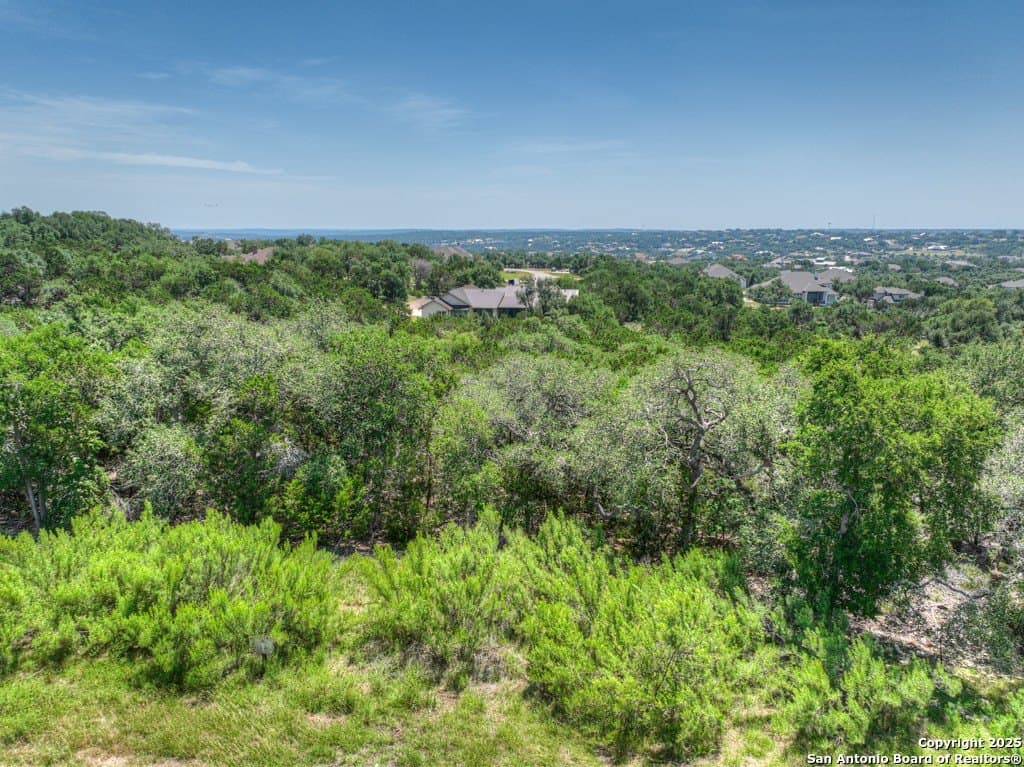 1.48 acres in Comal County gallery image 2
