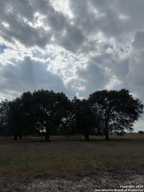 57.13 acres in Karnes County gallery image 2