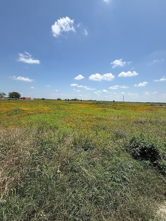 13.85 acres in Colorado County - photo 9