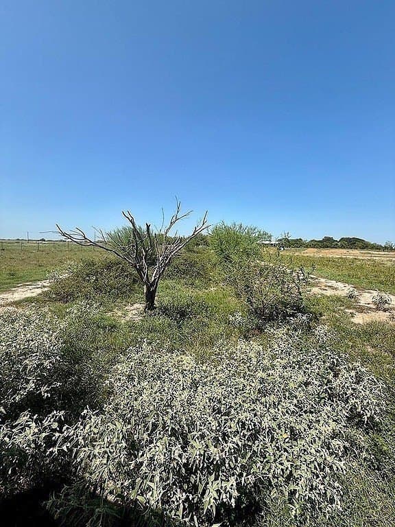 13.85 acres in Colorado County - photo 10