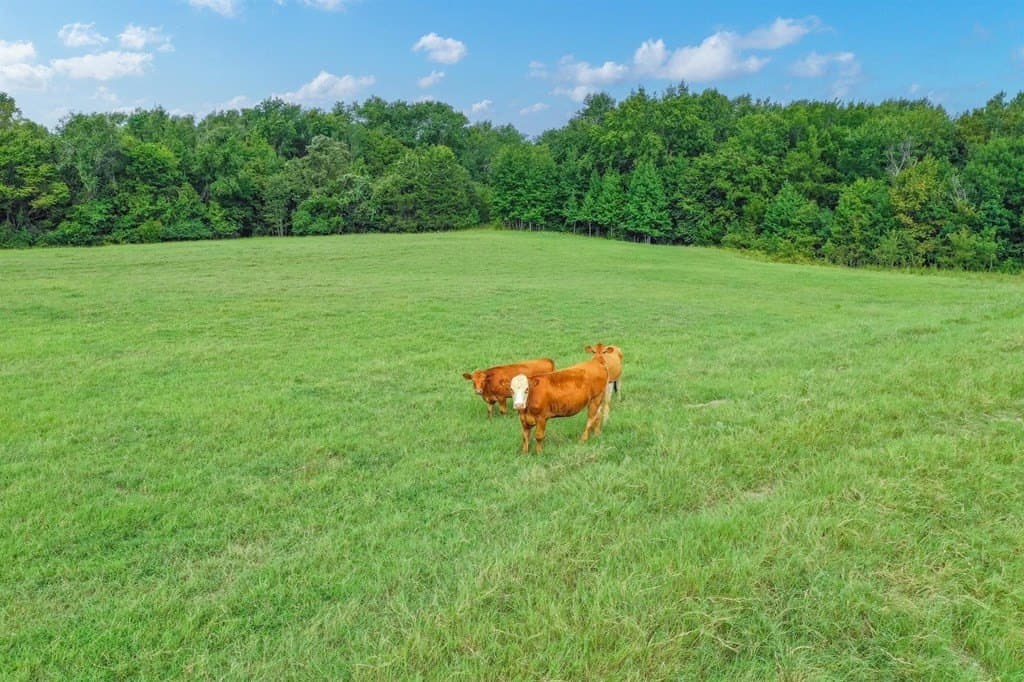 51 acres in Van Zandt County featured view