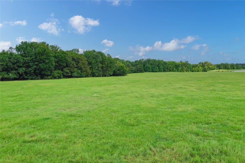 51 acres in Van Zandt County gallery image 4