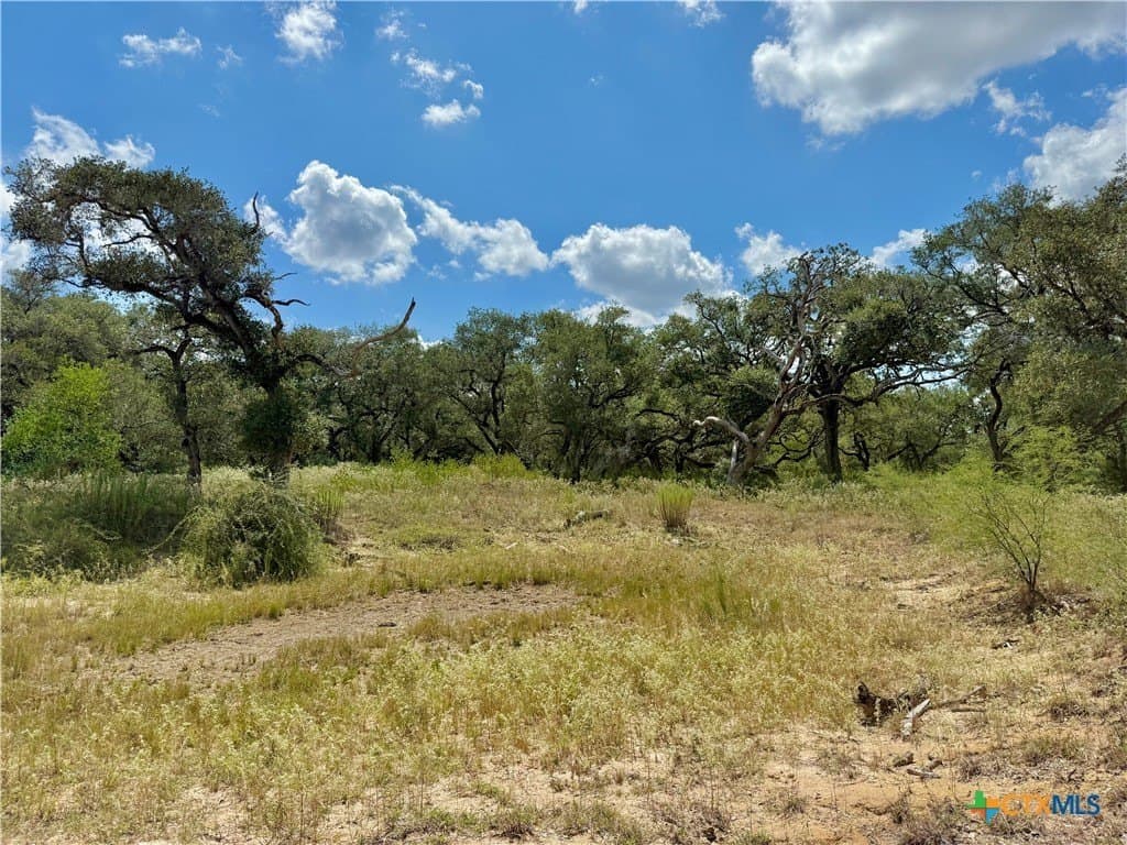 45 acres in Victoria County - photo 15