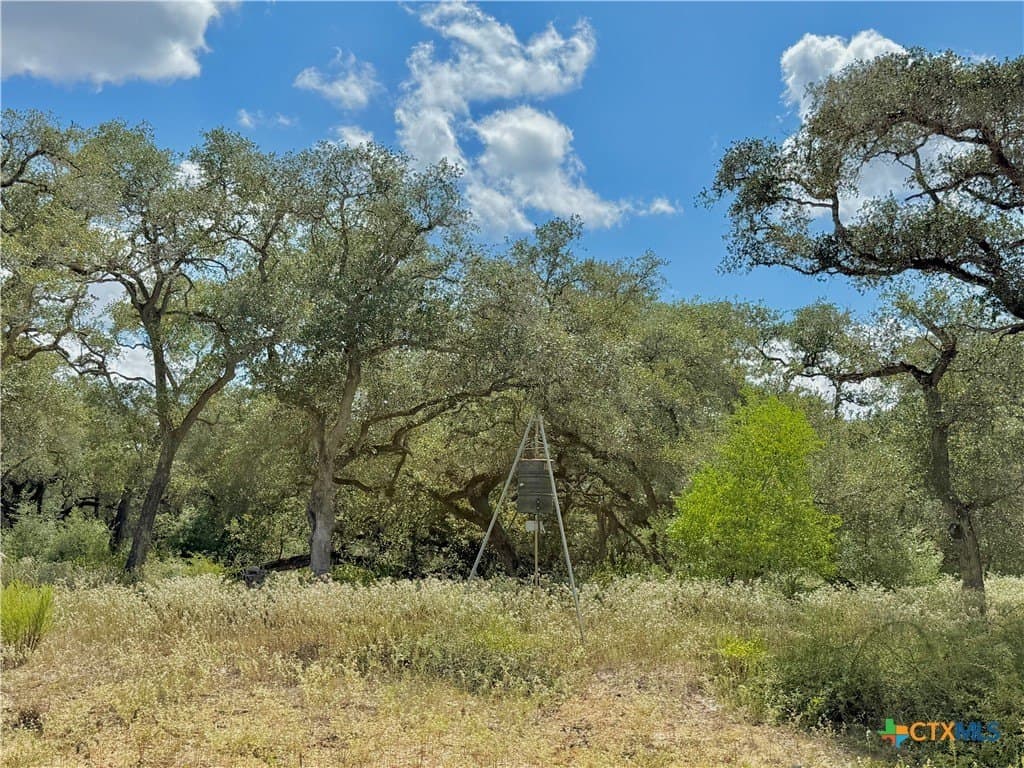 45 acres in Victoria County - photo 12