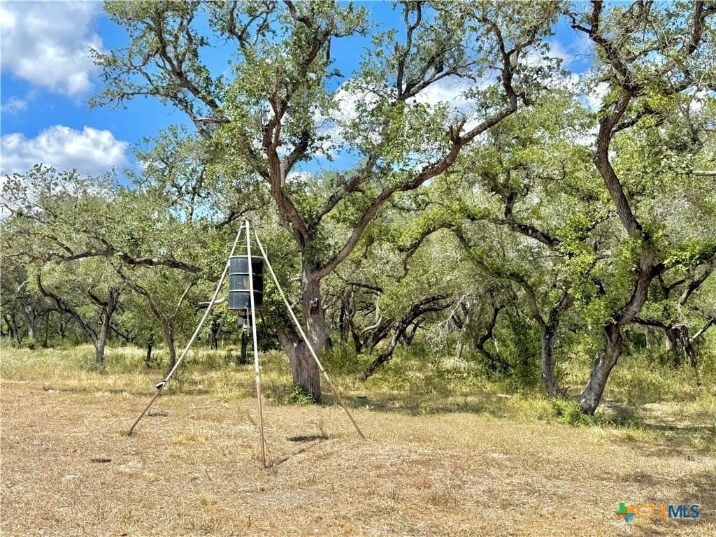 45 acres in Victoria County - photo 21