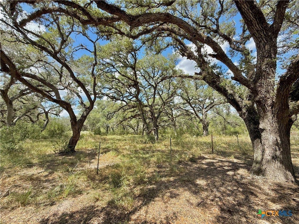 45 acres in Victoria County - photo 10