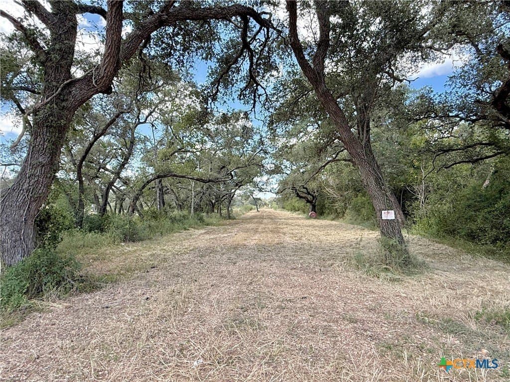 45 acres in Victoria County - photo 3
