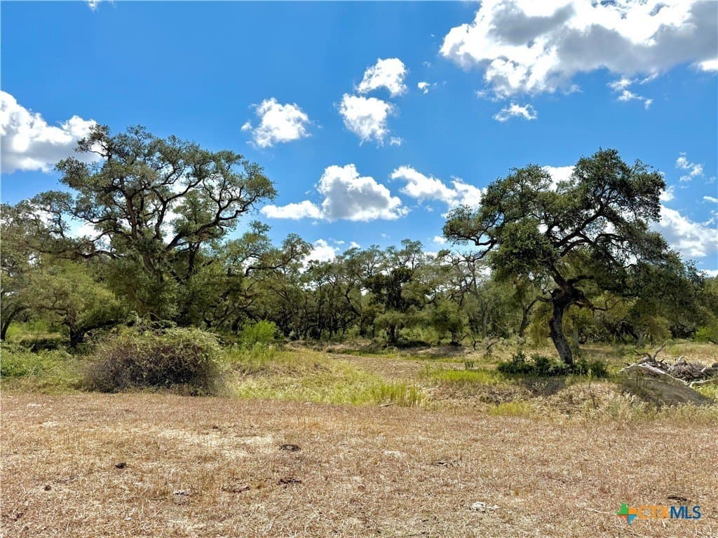 45 acres in Victoria County - photo 17