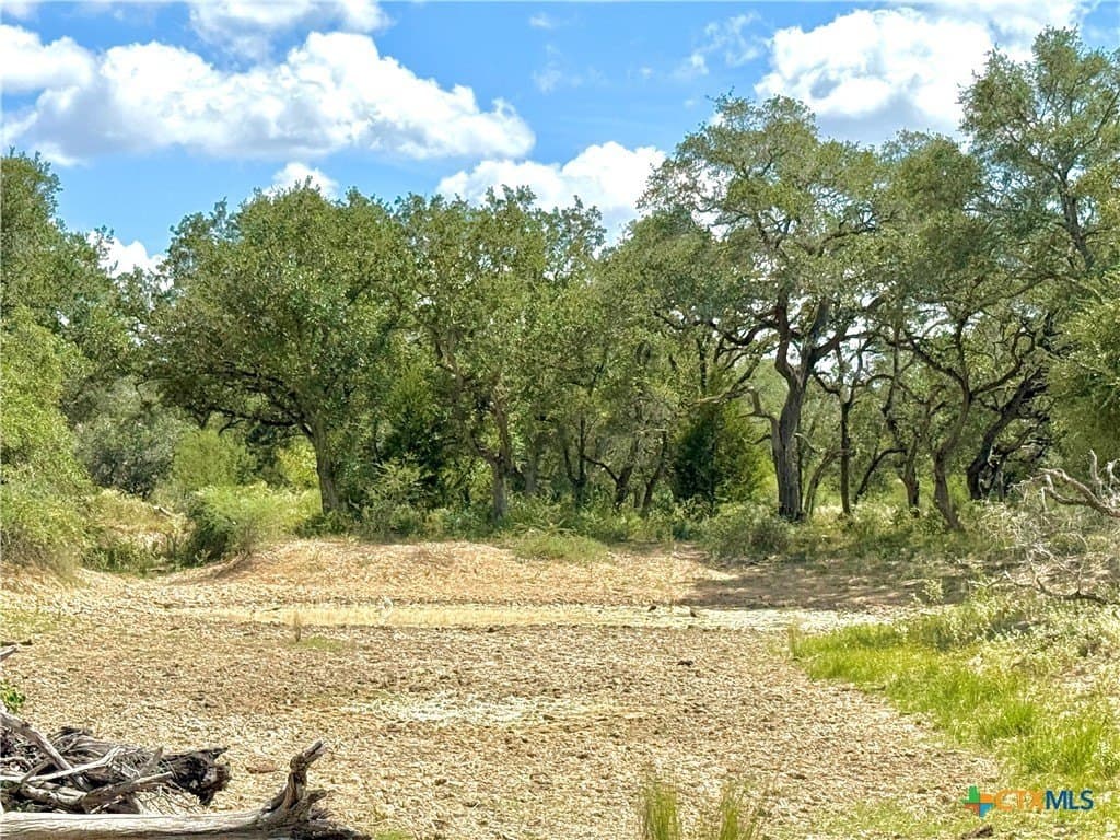 45 acres in Victoria County - photo 14