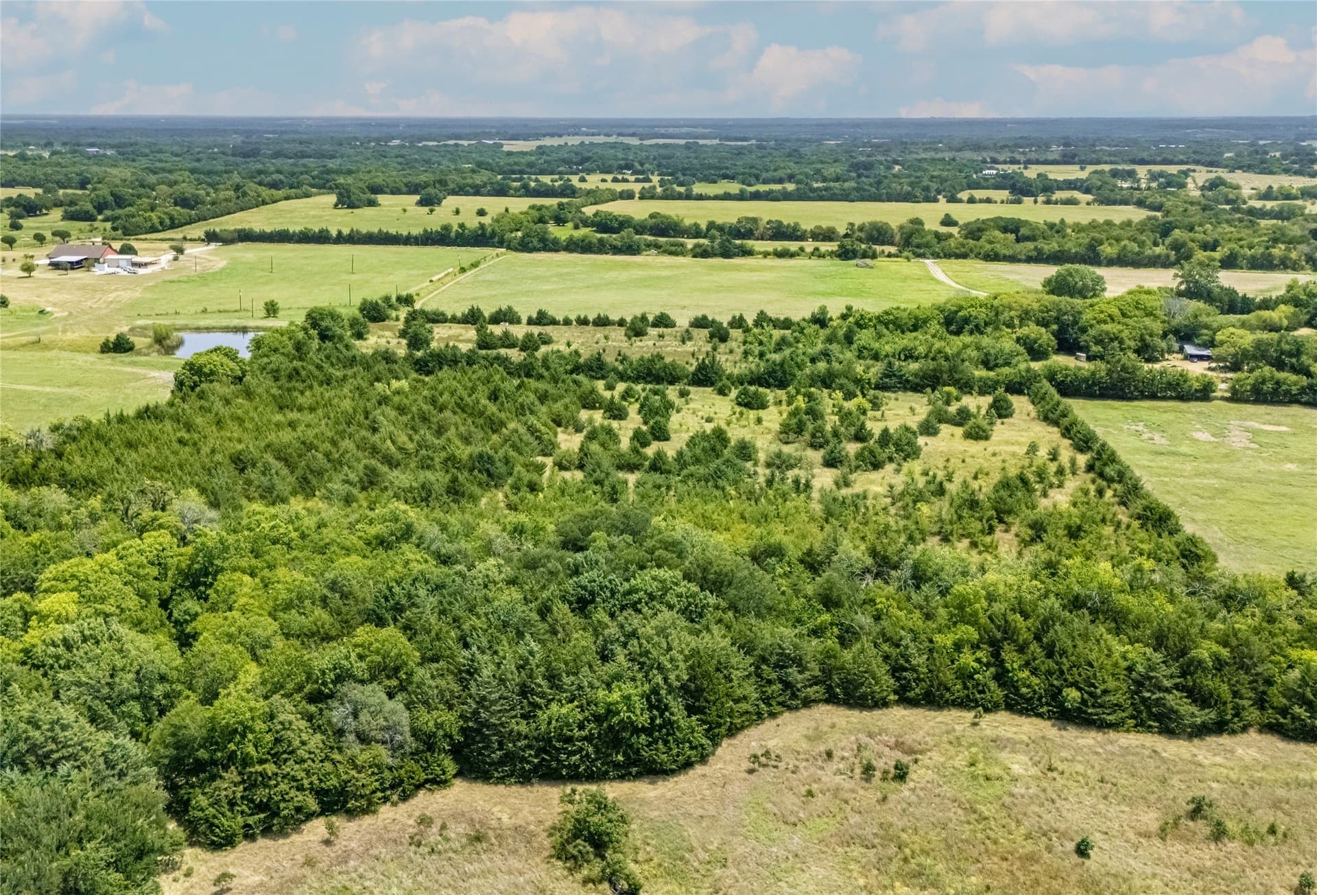 25.69 acres in Fannin County - photo 4