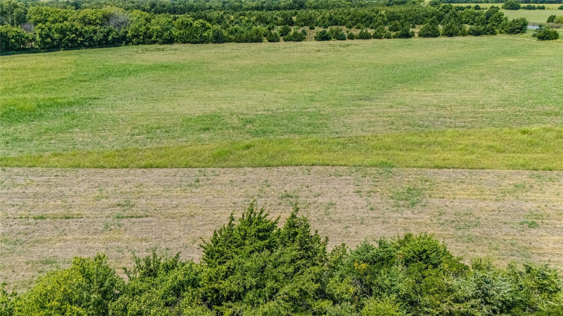 25.69 acres in Fannin County - photo 14