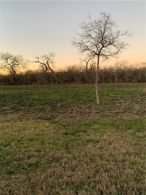 0 acres in Bee County