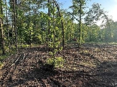 13.82 acres in Texas County