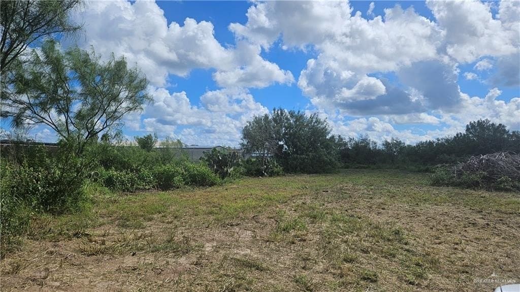 3.53 acres in Hidalgo County gallery image 4